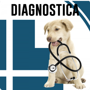 veterinario-di-mambro-servizi-veterinari_Diagnostica